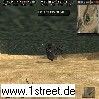 th_2.jpg