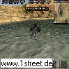 th_3.jpg
